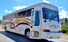 35 Passenger Party Bus