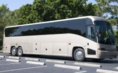 50 Passenger Charter Bus