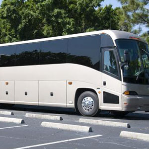 50 Passenger Charter Bus Service