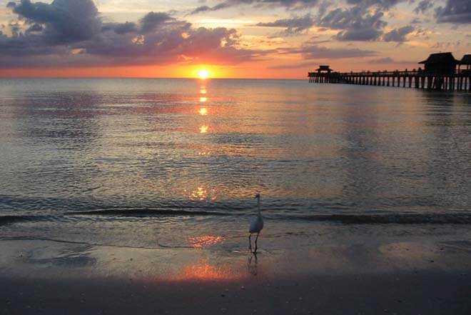 Naples Shuttle Bus Rental