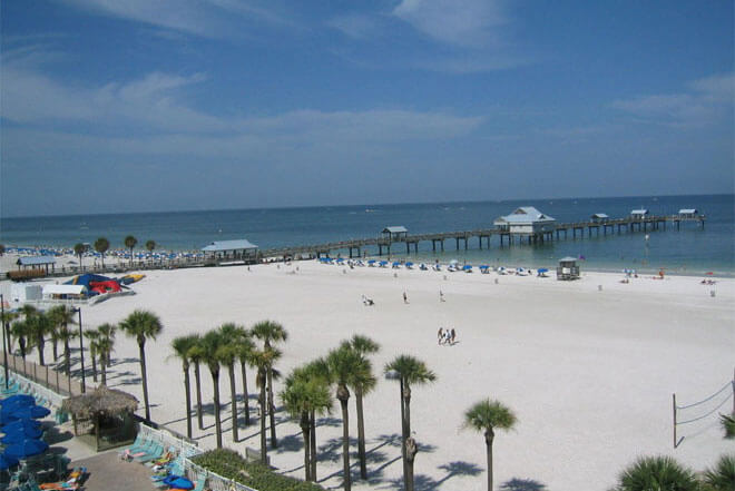 Clearwater Party Buses