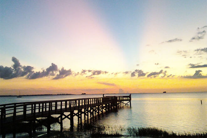 Palm Harbour