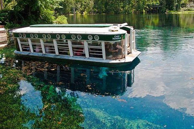 Party Bus Ocala