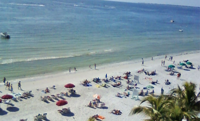 Party Buses In Fort Myers