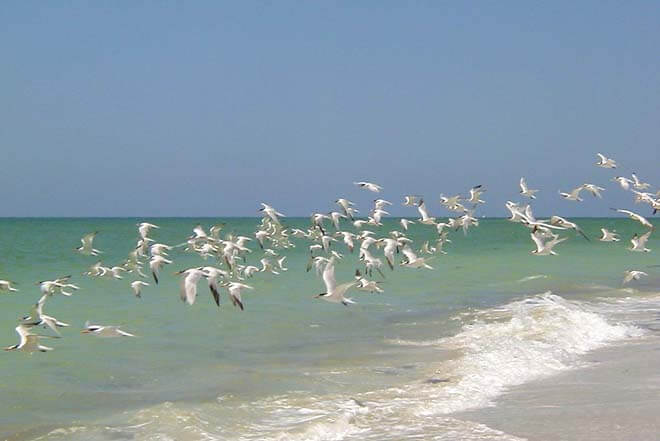 Punta gorda florida escorts Sunset cruise - Review of King Fisher Fleet, Punta Gorda, FL - TripAdvisor