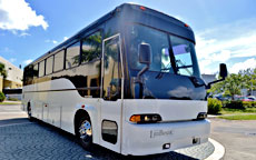 40 Passenger Party Bus