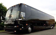 New Orleans Party Buses - Homestead Business Directory