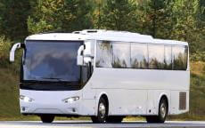 30 Passenger Charter Bus