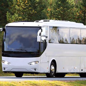 30 Passenger Charter Bus Service