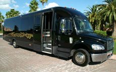 25 Passenger Party Bus