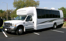 20 Passenger Party Bus