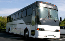 40 Passenger Party Bus