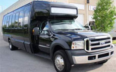 22 Passenger Party Bus