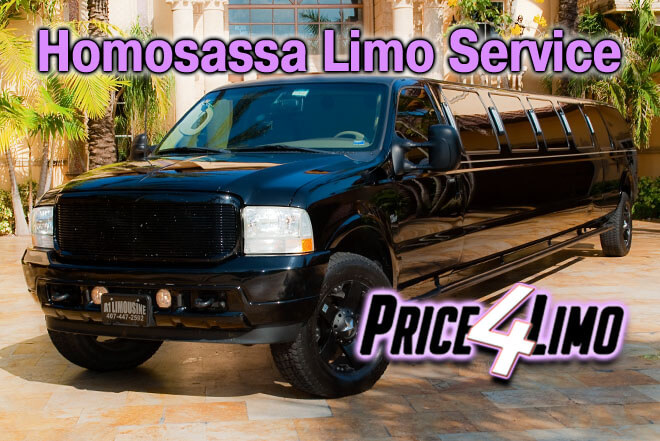 Limo Service in Homosassa