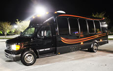 15 Passenger Party Bus