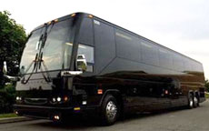 50 Passenger Party Bus