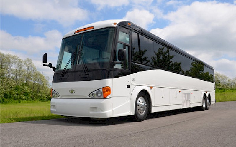 New York 47-56 Passenger Charter Buses