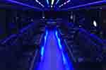 22 Passenger Party Bus rental